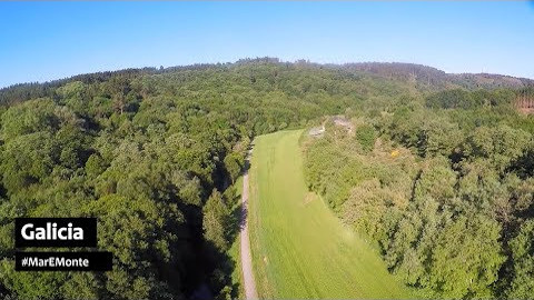 Galicia é Mar e Bosque